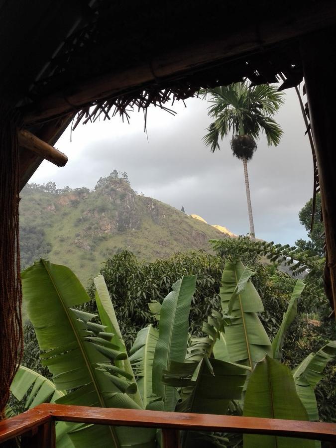 Mount Wood Star Villa Ella Luaran gambar